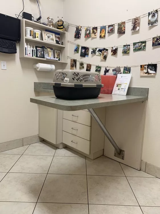 Animal Medical Clinic, Florida, Orlando